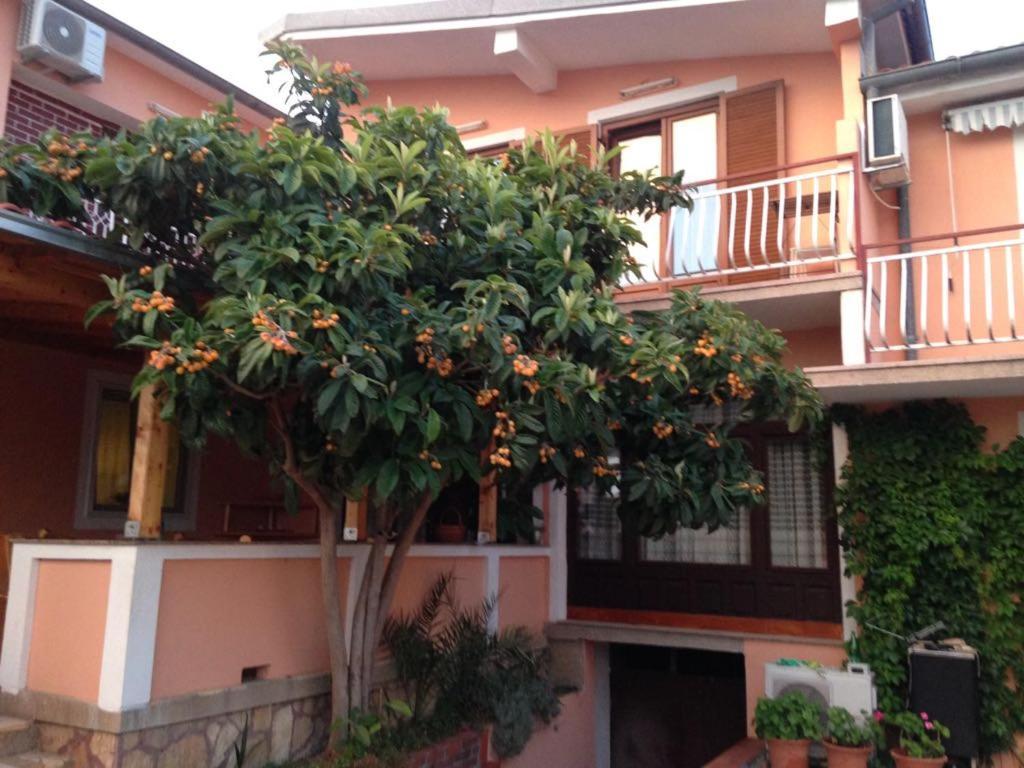 Apartmani Vilma Pakoštane Exteriér fotografie